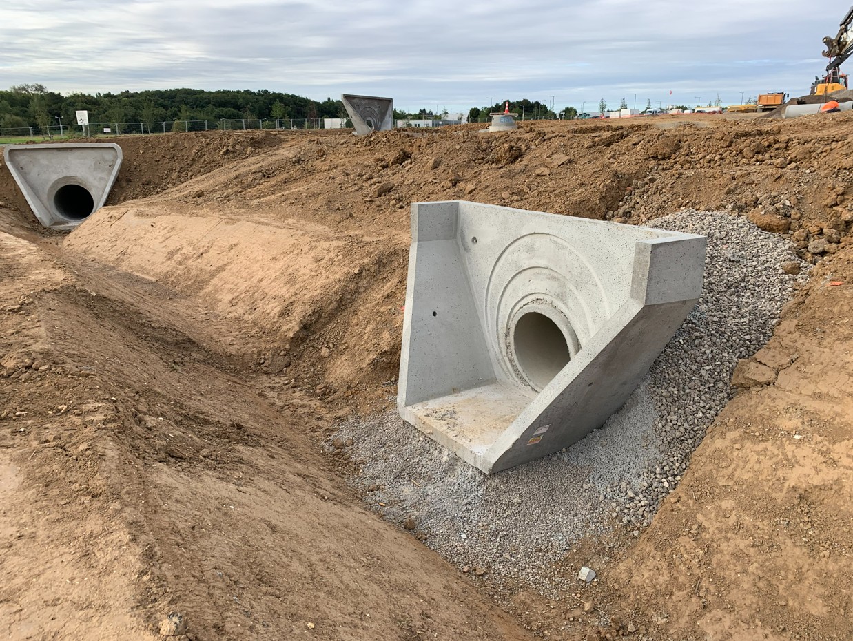 Image non disponible